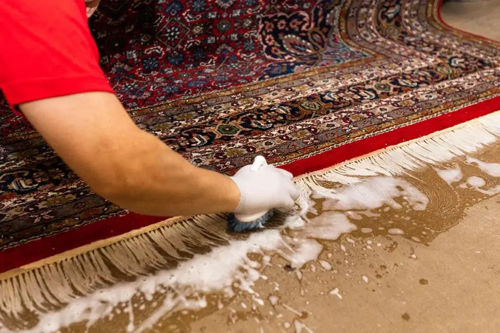 Cotton Rugs | How to Clean, Dry and Care for Them Properly
